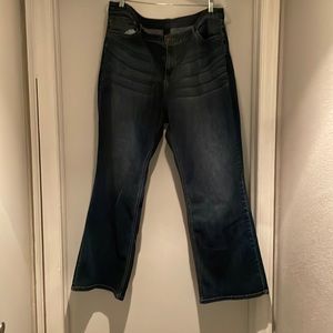 Lane Bryant Jeans